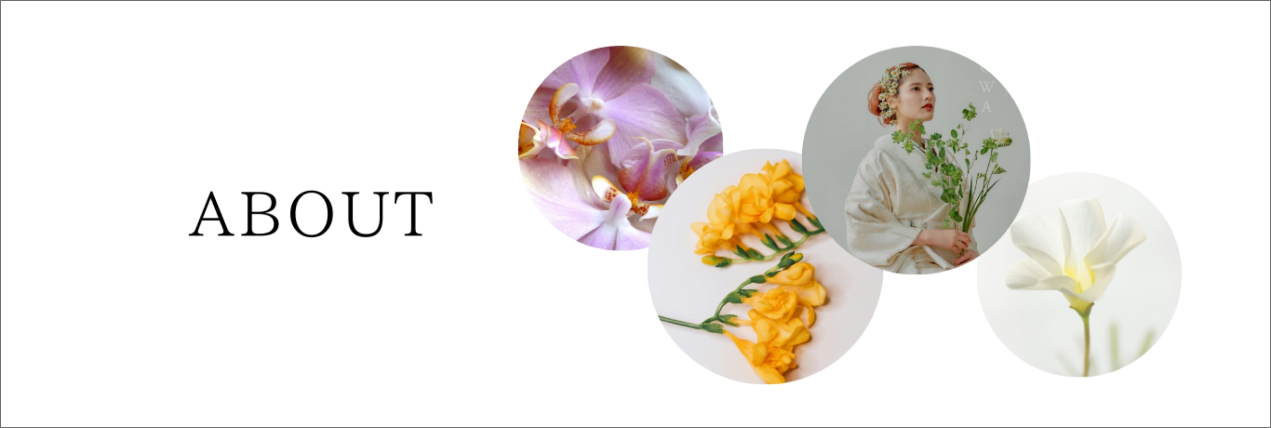 ITOWAaboutメイン画像