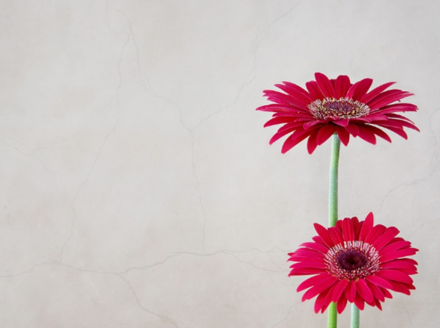 ITOWA着物スタイル撮影ペアプラン